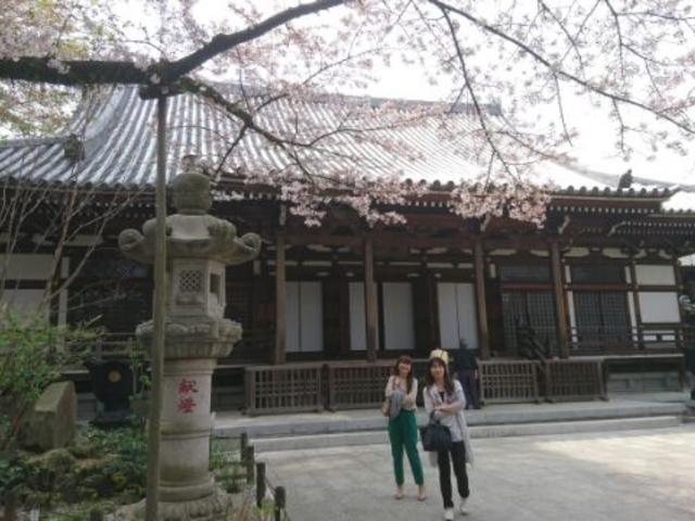 大日堂_高幡不動尊 金剛寺