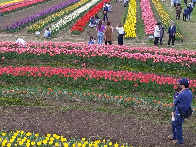 たかこ姫さんの直方リバーサイドパークの投稿写真3