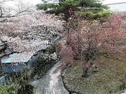 オーロラ姫さんの湯の山温泉 グリーンホテルの投稿写真1