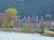 マックさんの余呉湖の投稿写真4