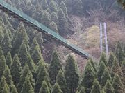 さとぼさんの秘境・杣の里渓流公園の投稿写真1