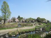 鶴亀松竹梅扇さんの清水緑地の投稿写真2