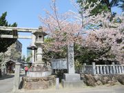 鶴亀松竹梅扇さんの清水緑地の投稿写真4