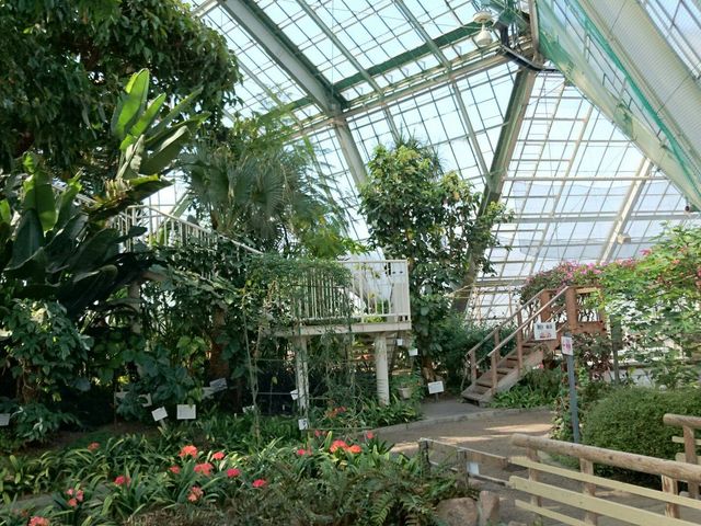 熱帯植物1_函館市熱帯植物園