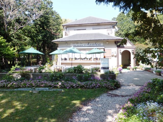 ガーデニングが見事。_アゼリア