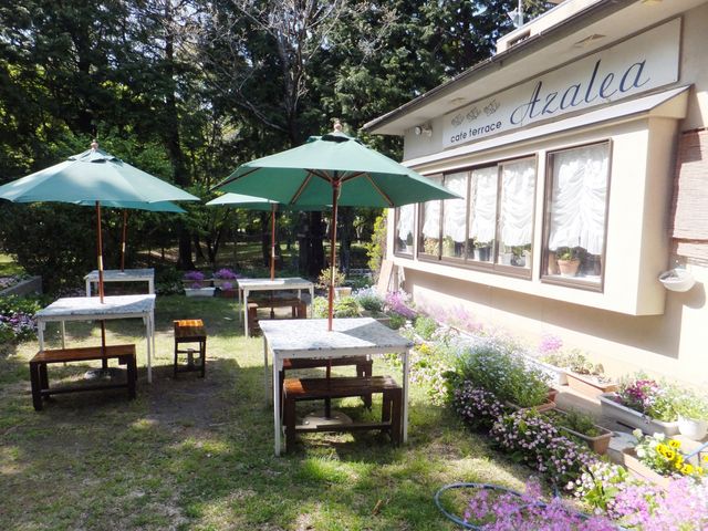 屋外でランチも楽しそう。_アゼリア