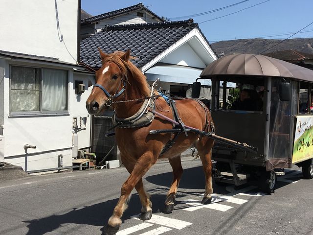 観光辻馬車_観光辻馬車