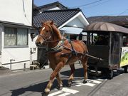 poporonさんの観光辻馬車の投稿写真1