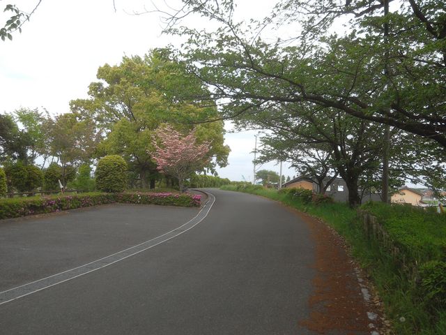 街道脇に駐車スペースもあります。_歴史の道 鎌倉街道
