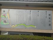 サビ猫さんの歴史の道 鎌倉街道の投稿写真2