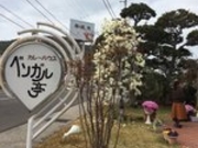 犬人さんのベンガル亭の投稿写真1