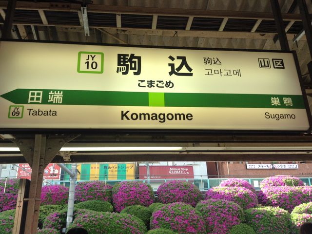 看板_JR駒込駅