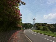 ippaloさんのおしどり橋の投稿写真1