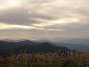 staygoldさんの笠取山の投稿写真1