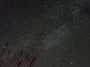 staygoldさんの大川嶺の投稿写真4