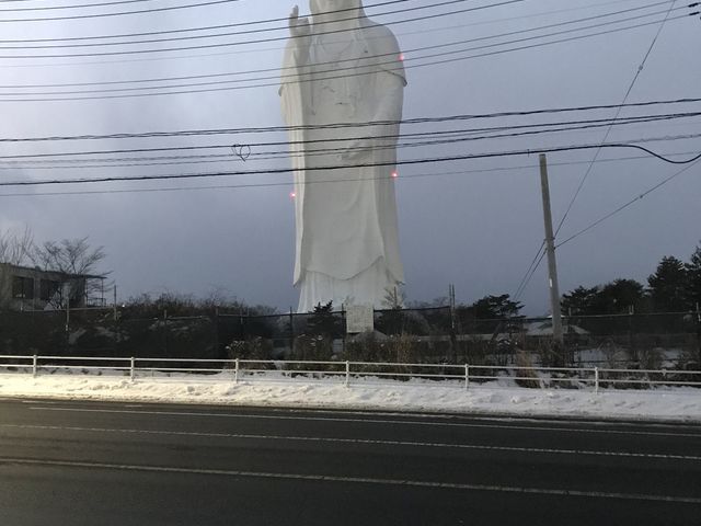 奇妙です_仙台大観音プラザハウス