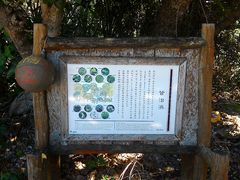 カイジ浜(竹富島)の写真1