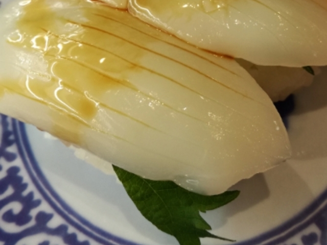 イカです。_くら寿司 名東高針店