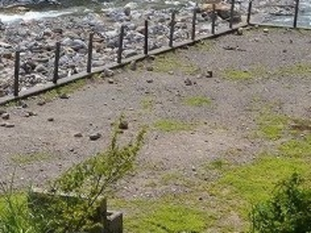祖母谷キャンプ場_祖母谷キャンプ場