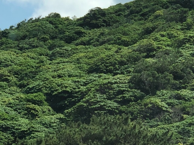 おっぱい山_伊是名島