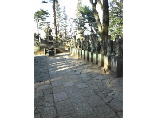 五百羅漢_五百羅漢