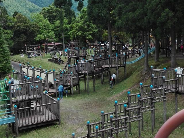 大自然の中のアスレチック_ウッディパル余呉