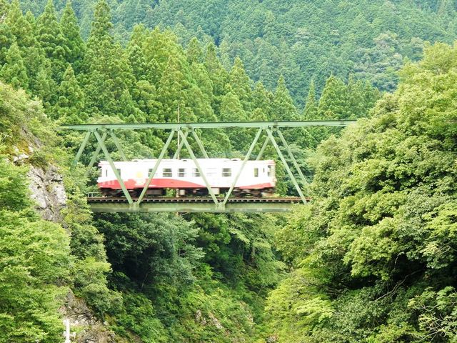 渓谷の鉄橋を渡る樽見鉄道_樽見鉄道