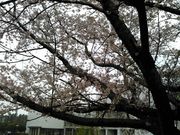 junさんの地図と測量の科学館の投稿写真1