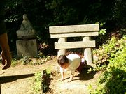つかさめさんの黒滝山の投稿写真1