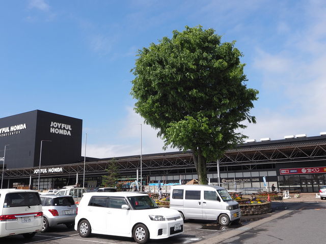 ジョイフル本田 新田店_ジョイフル本田 新田店