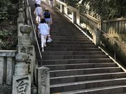 まちさんの金比羅山の投稿写真1