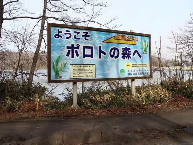 ここから狭い砂利道を進みます_ふるさと2000年の森 ポロトの森キャンプ場