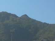 サビ猫さんの飯士山の投稿写真1