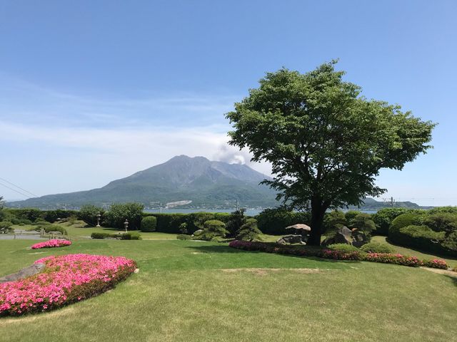 topologyさんの磯庭園のサクラの投稿写真1