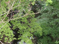 花さんの仙台国際センターへの投稿写真2