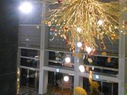 スマイルさんのならファミリー: narafamilyの投稿写真1