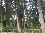 ssawsさんの例幣使街道の投稿写真1