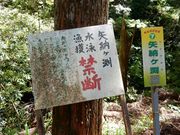 w-masaさんの粥川の森の投稿写真2