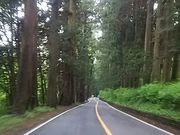 ssawsさんの日光街道の投稿写真1