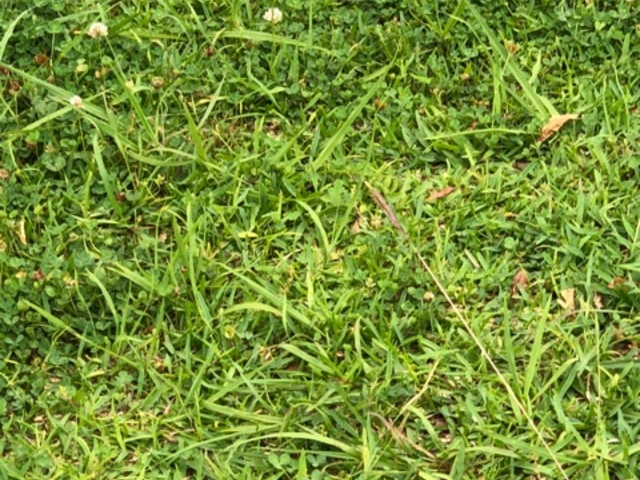 ととさんのあかさき公園の投稿写真1