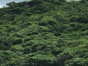 ととさんの金見展望台の投稿写真1