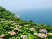 きょうさんの遠見山の投稿写真1