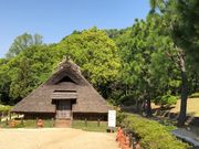 怒りん坊さんの岩橋千塚古墳群の投稿写真1