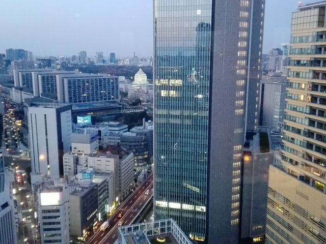 窓からの眺め。_MIXX BAR&LOUNGE ANAインターコンチネンタルホテル東京
