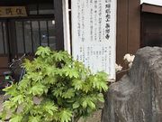 ひげはんさんの薬師寺の投稿写真1