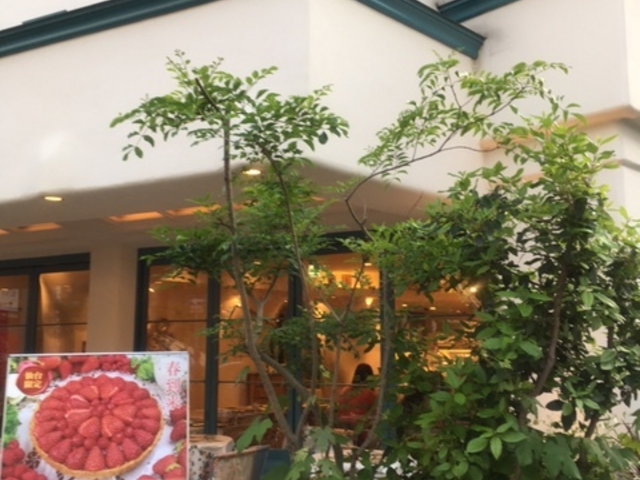 キルフェボン仙台店_キル フェ ボン 仙台