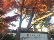 もっちーさんのふるさと歩道玉淀コースの投稿写真4