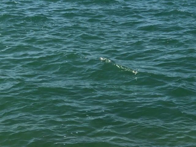 海_米崎ビーチ