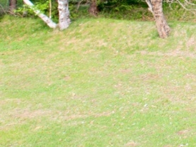 アクセルゼンカイさんの青木村営横手キャンプ場の投稿写真1