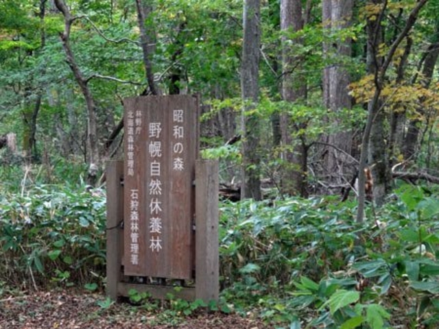 都市部近郊にあり、アクセスも良いです。_北海道立自然公園 野幌森林公園(昭和の森 野幌自然休養林)